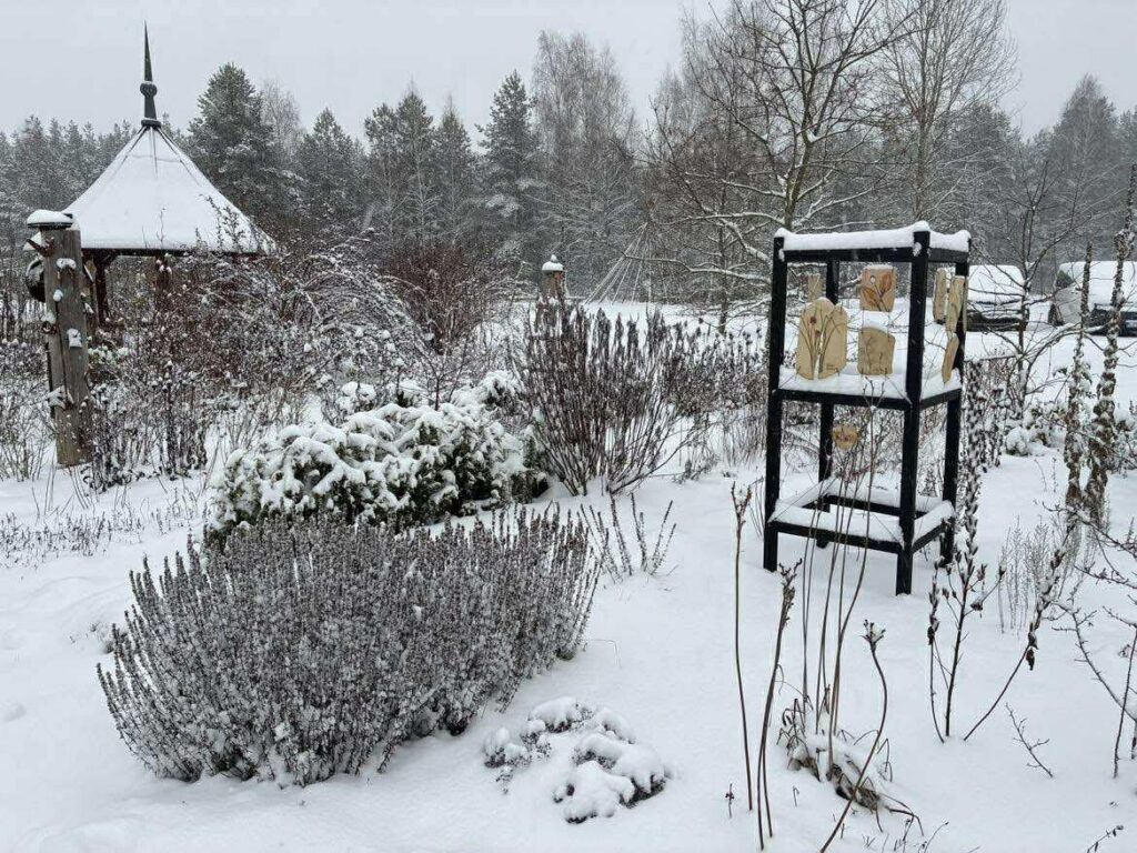 Snieguotas sodas su plikais medžiais ir krūmais, kairėje - medinė pavėsinė, dešinėje - juoda lentyna su keliais smėlio spalvos paukščių nameliais. Žemę ir augalus dengia sniegas, sukuriantis žiemišką vaizdą.